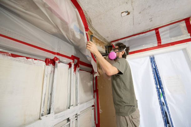 Best Post-Construction Mold Inspection  in Wake Village, TX