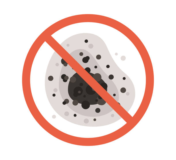 Best Airborne Mold Testing  in Wake Village, TX