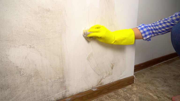 Best Air Quality Testing for Mold Spores  in Wake Village, TX