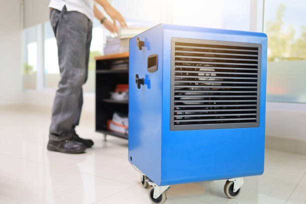 Best Mold Remediation for Healthcare Facilities  in Wake Village, TX