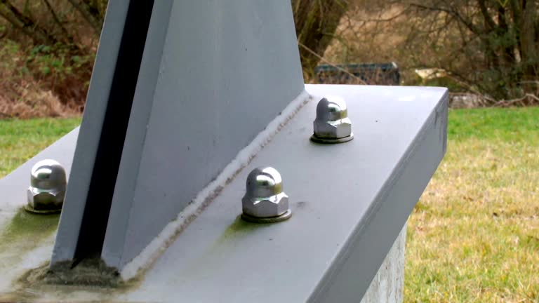 Best Attic Mold Removal  in Wake Village, TX